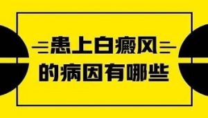 头部出现白斑的原因是什么